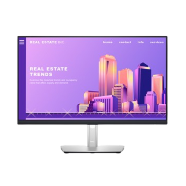 Dell P2422H – 60Hz 1080p FHD IPS 24 Computer Gaming Monitor