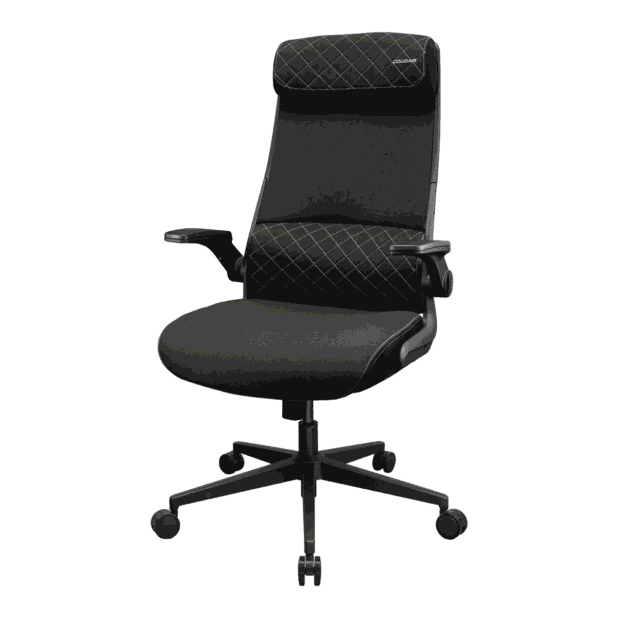 COUGAR Stryder Ergonomic Gaming Chair (Black)